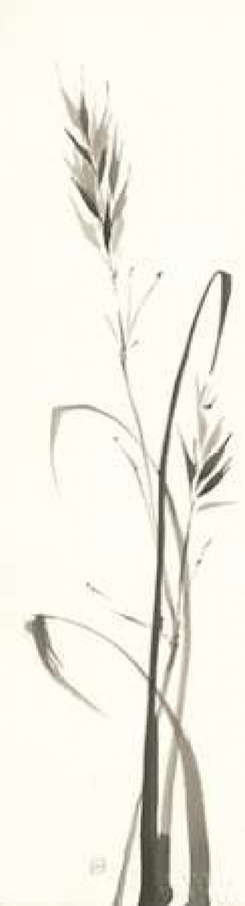 Wild Grass II Poster Print by Chris Paschke - Item # VARPDX28394